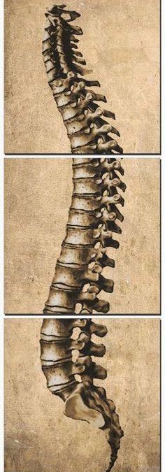 The What and How of Chiropractic Joint Manipulation – The Adjustment