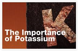 The Importance of Potassium