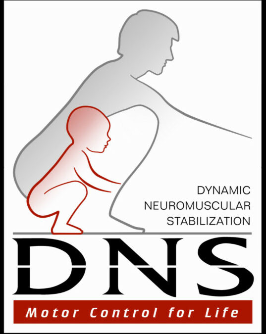 Dr. Jon Wilhelm of Pro Chiropractic Successfully Completes DNS Training