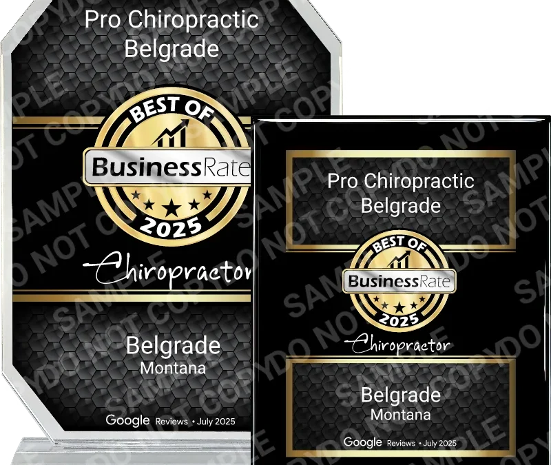 Pro Chiropractic Named Best Chiropractor in Belgrade for 2025